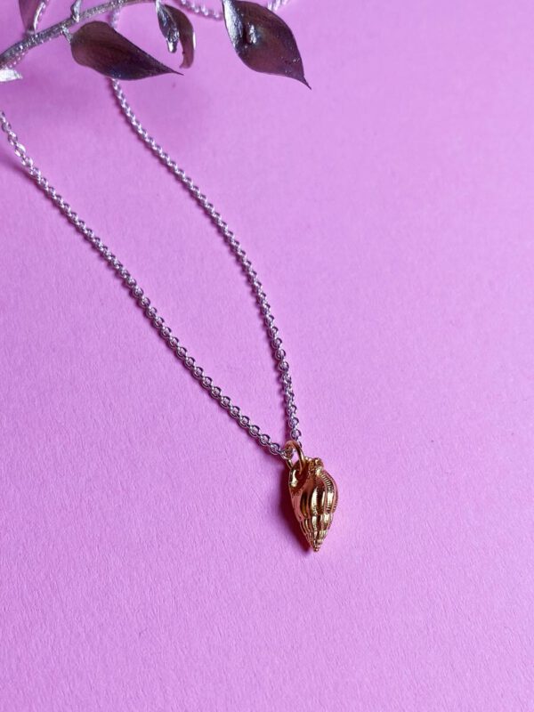 Meeresschnecke Kombi